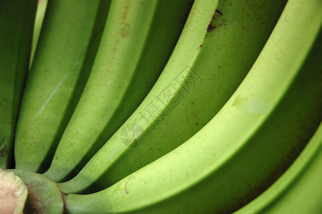 香蕉健康饮食生活方式绿色食物水果背景图片