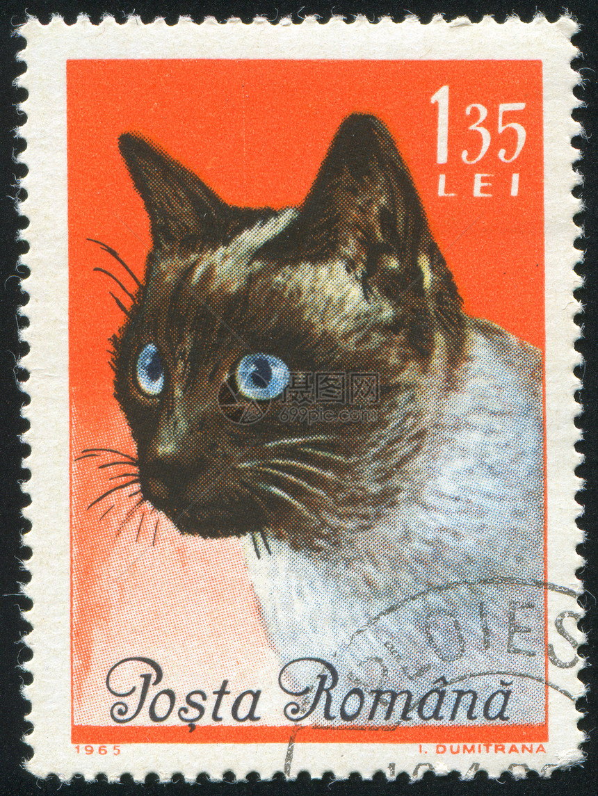 插件猫古董胡须集邮眼睛邮资猫科动物脊椎动物毛皮明信片邮票图片