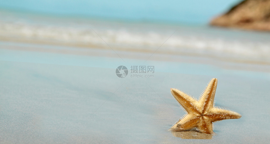 海星在海滩上海岸海星蓝色季节日落海浪热带旅行生活天堂图片