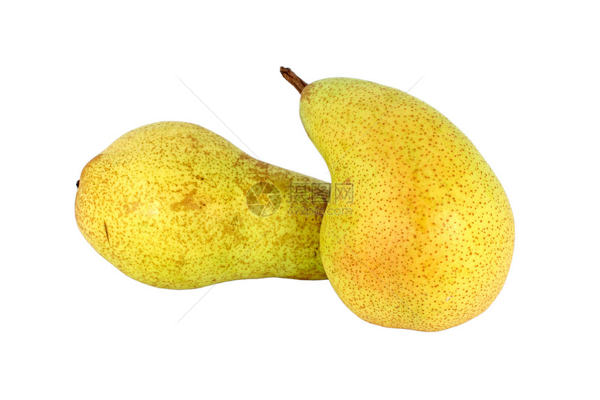 两个梨水果食物营养黄色小吃饮食图片