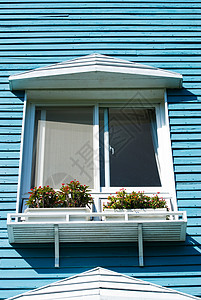 蓝色木墙的别墅秃鹰背景图片