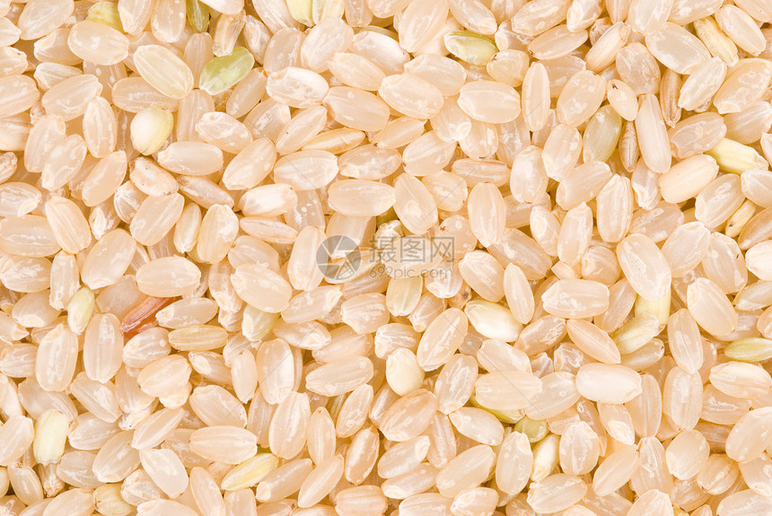 褐稻作为背景图片