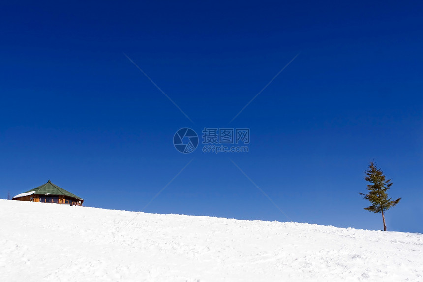 冬天独自独居场景房子小屋天空滑雪窗户木头旅行日光枞树图片