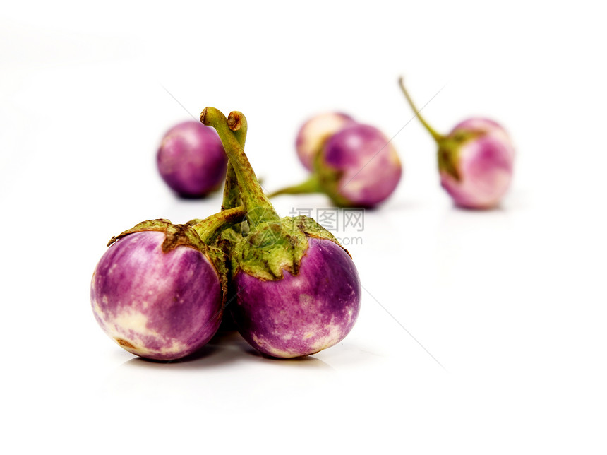 一群小鸡蛋植物 奥贝金白色绿色食物蓝色椭圆团体养分茄子紫色图片