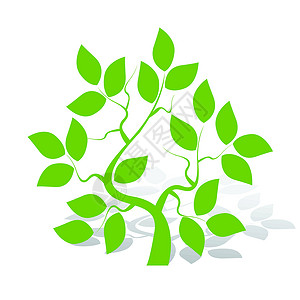 绿树木头植物插图灰色床单绿色生态背景图片