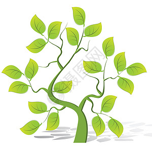 绿树木头床单插图植物绿色生态背景图片