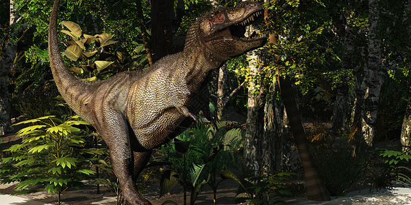 侏罗纪时代T- Rex 狩猎背景