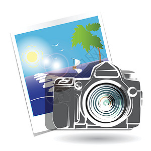 洋地黄照片插图光电玻璃镜片摄影摄影师反射强光绘画相机插画
