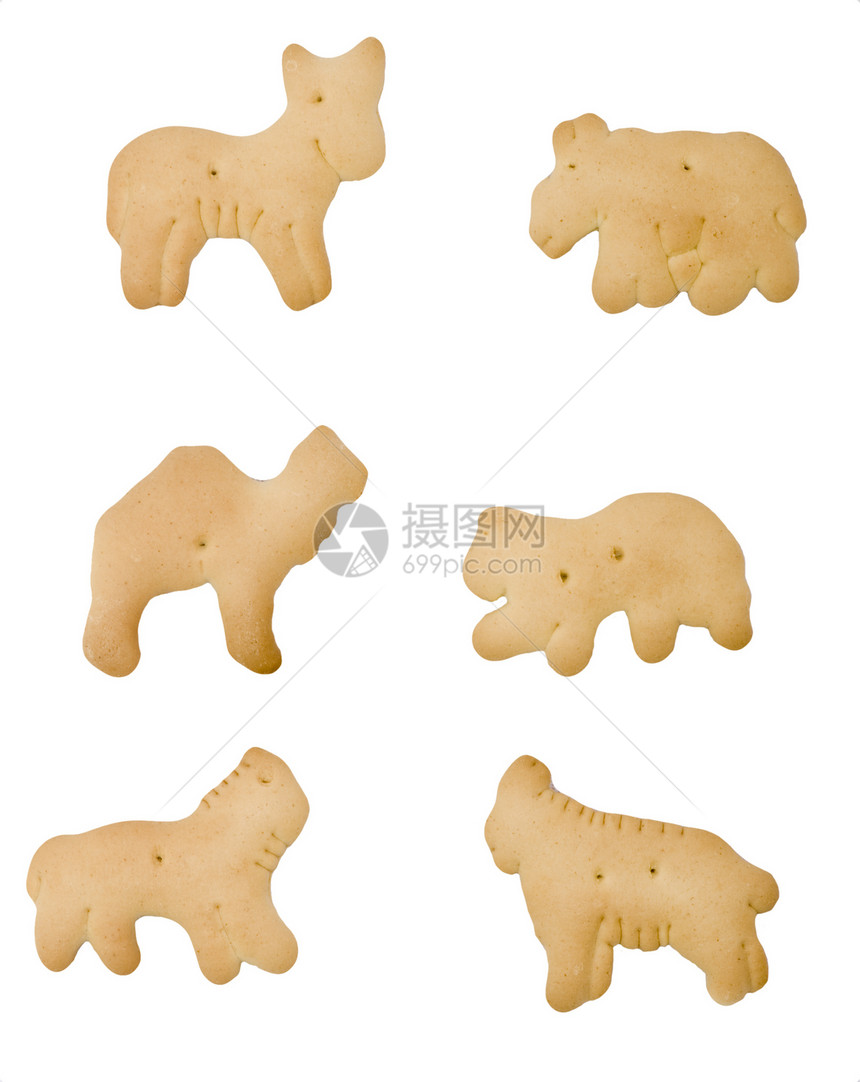孤立动物饼干图片