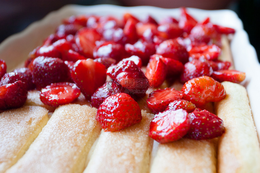 草莓蒂拉米苏蛋糕饼干盘子饮食奶油美食南瓜香料烹饪巧克力图片