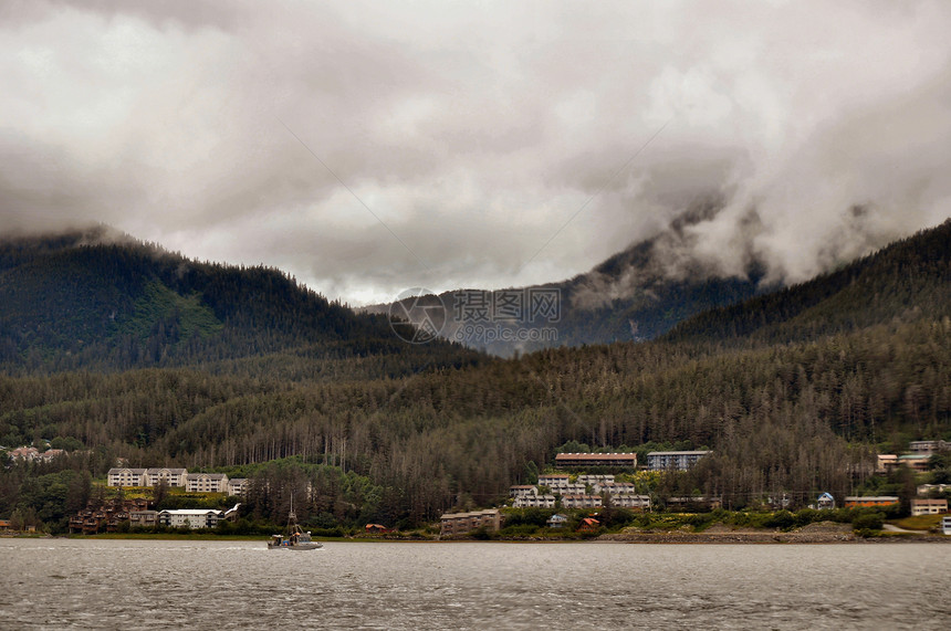 Juneau海岸线树木山脉叶子图片