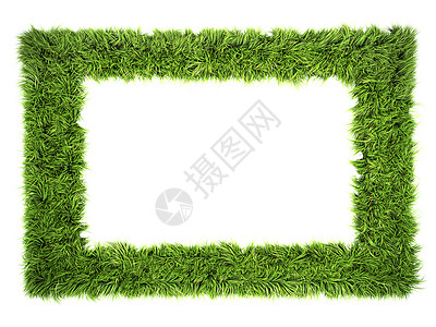 草根框架插图创造力生态学家花园艺术专辑回收边界绿色空白背景图片