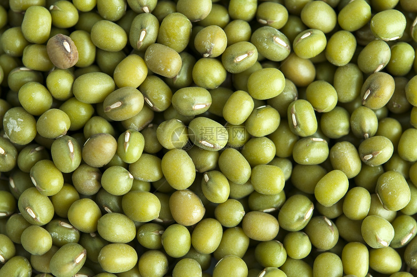 蒙大豆团体黄色食物蔬菜宏观豆类脉冲绿色饮食粮食图片