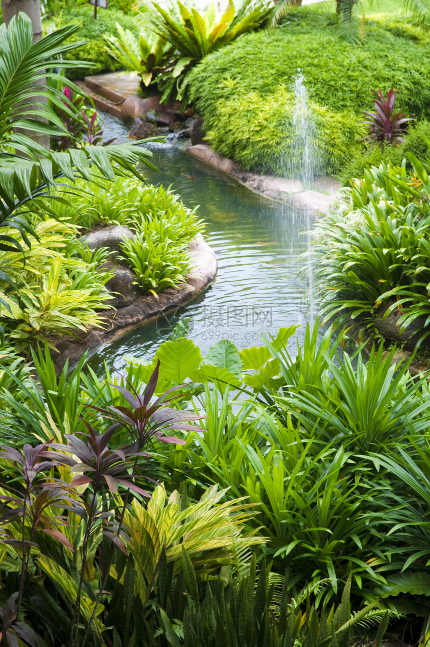 热带热带花园装饰公园喷泉场景庭院植物群飞溅棕榈植被风景图片