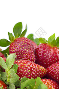 草莓下载图草莓收成绿色浆果空白叶子植物食物水果团体宏观背景