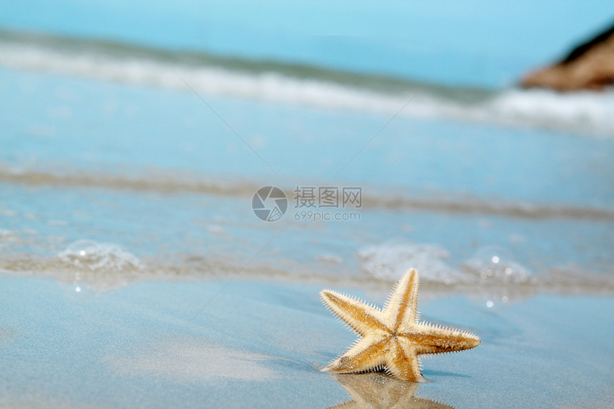 海星在海滩上日落海岸天空晴天蓝色星星海星闲暇热带天堂图片