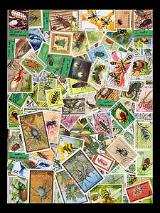 邮票印章蜜蜂国际世界外国邮资邮件动物学翅膀集邮集电极背景图片