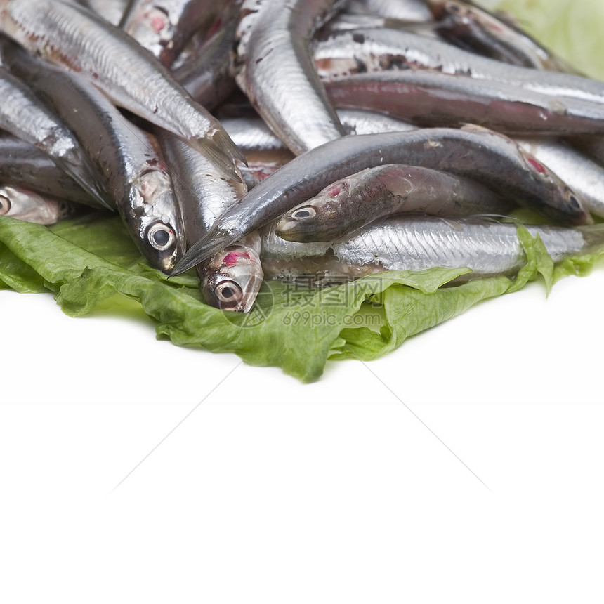 生菜叶上的凤尾鱼海洋食物杂货店营养蓝色野生动物钓鱼市场烹饪投标图片