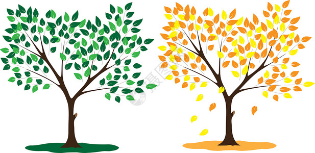 夏季和秋季的树木季节橙子绿色环境黄色背景图片