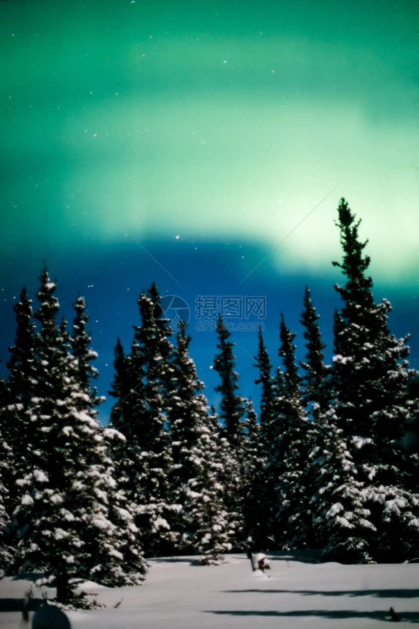 北极光 北极光和冬季森林阴影天空电离月亮星星雪景场地童话北极星云杉图片