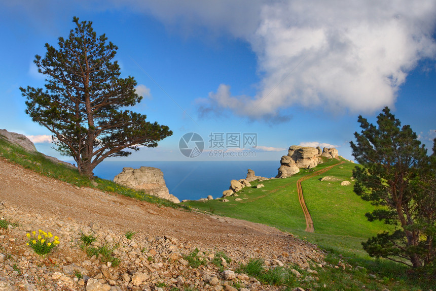 丰富多彩的夏季风景图片