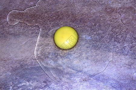 鸡蛋白色木地板圆圈地面平板车轮蛋黄圆形磁盘背景图片