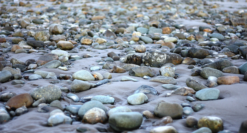 海滩上的石头岩石图片