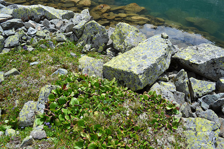 图朱科斯基湖海岸山脉海岸线岩石高清图片