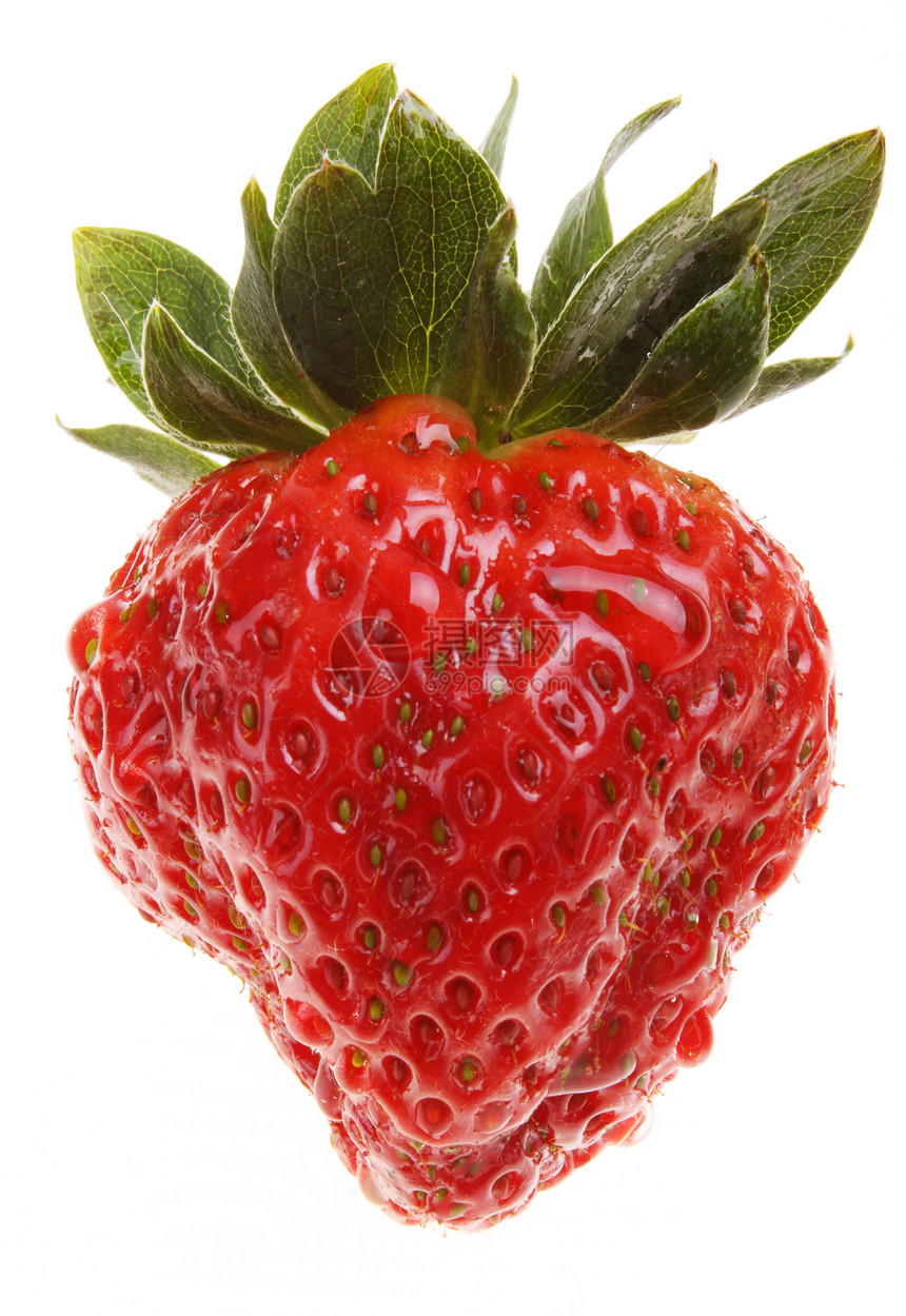 新的孤立草莓种子饮食叶子甜点食物浆果宏观水果图片
