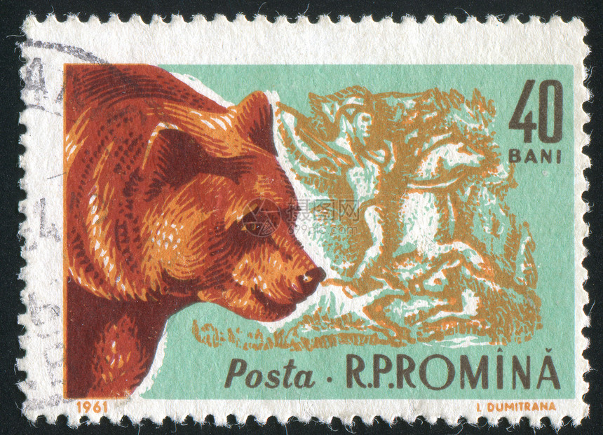 棕熊墓碑集邮力量捕食者海豹明信片邮资邮戳信封动物图片