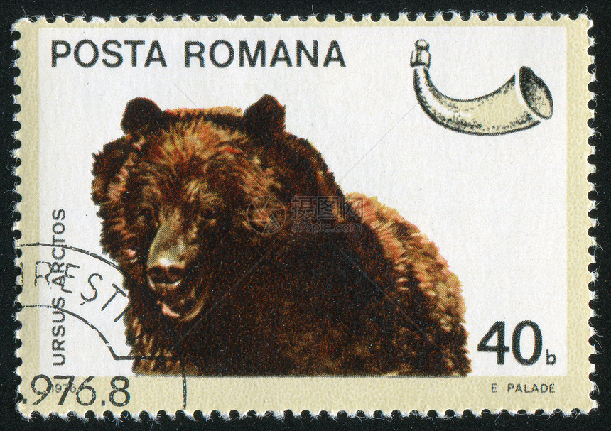 印章灰熊捕食者力量爪子历史性集邮动物古董明信片危险棕色图片