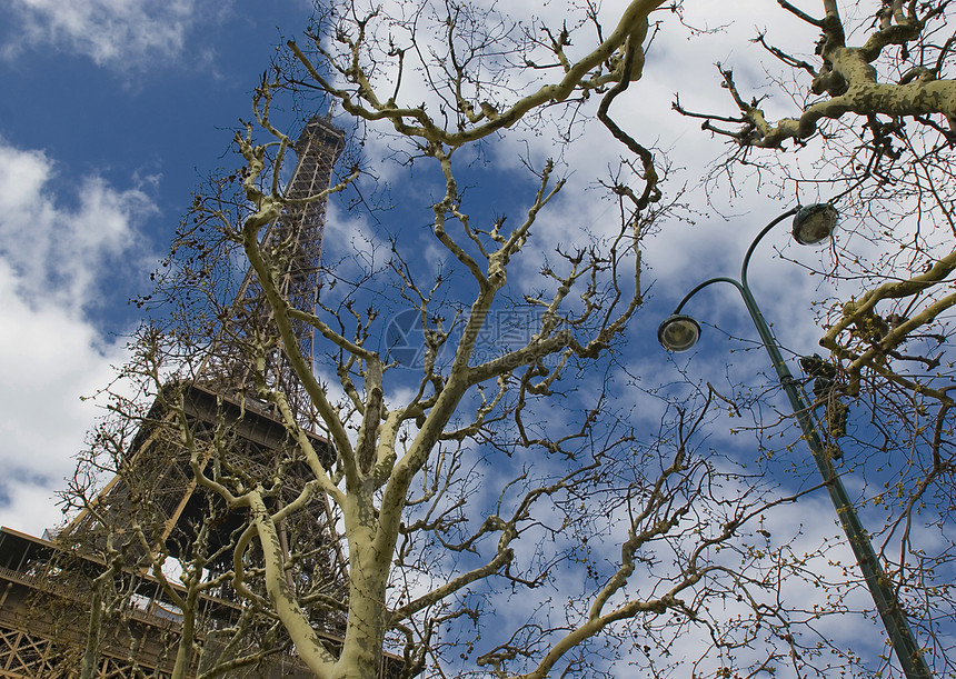 埃菲尔塔旅行城市首都全景辉光花园火焰地标叶子景观图片