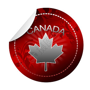 加拿大曲棍球冰球植物叶子枫叶地区驼鹿树叶国家省份高清图片