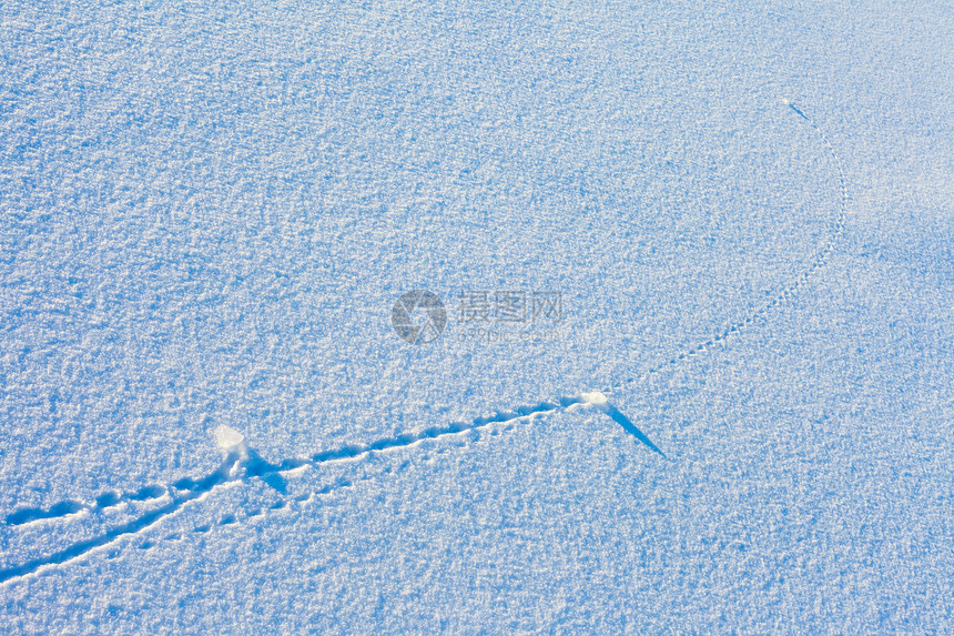 雪地表面的轨迹线天气粉末蓝色几何学线条季节痕迹弹道雪花曲线图片