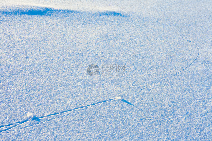 雪地表面的轨迹线痕迹雪景季节弹道蓝色几何学粉末线条天气曲线图片
