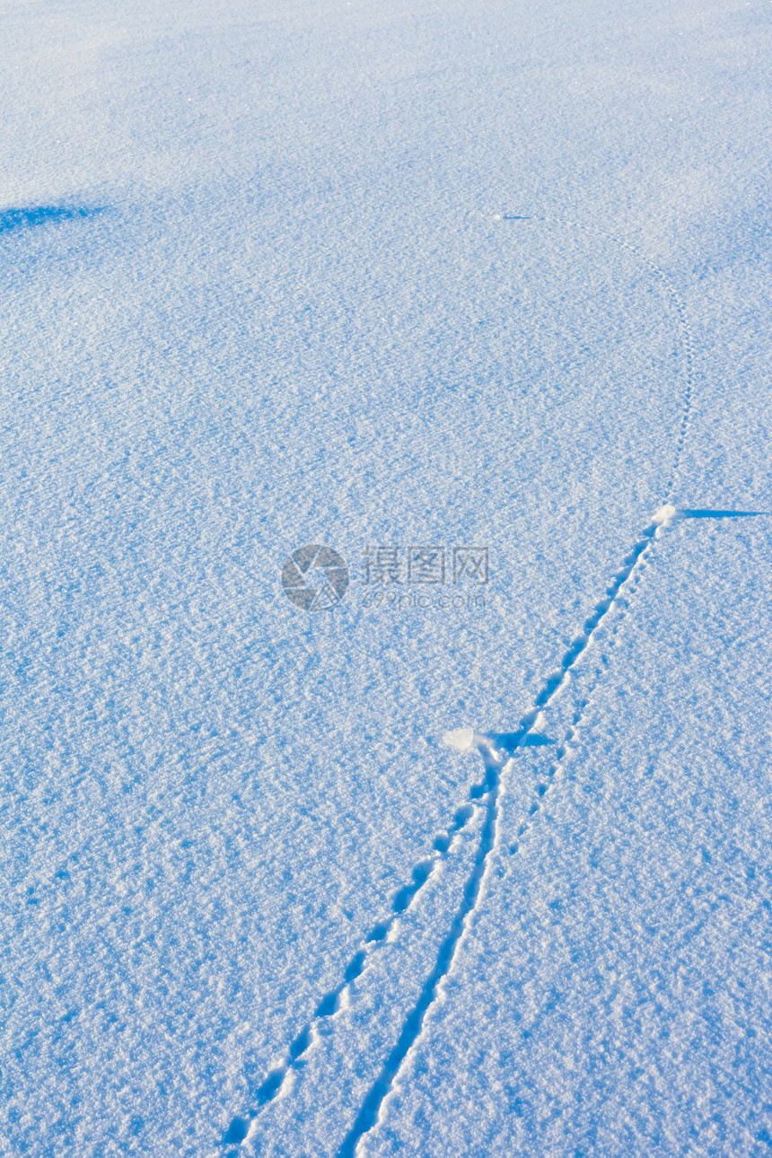 雪地表面的轨迹线雪花弹道蓝色雪景粉末天气几何学曲线痕迹线条图片