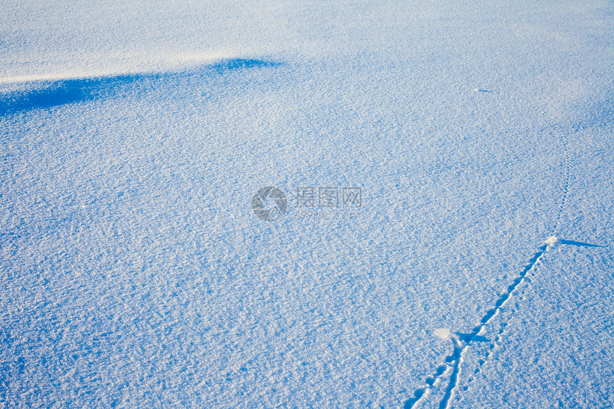 雪地表面的轨迹线季节线条蓝色雪花几何学痕迹曲线弹道粉末天气图片