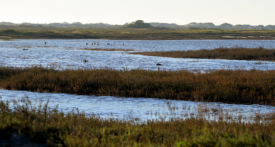 湿地野生动物钓鱼旅行进口假期蓝色远足荒野公园风景高清图片