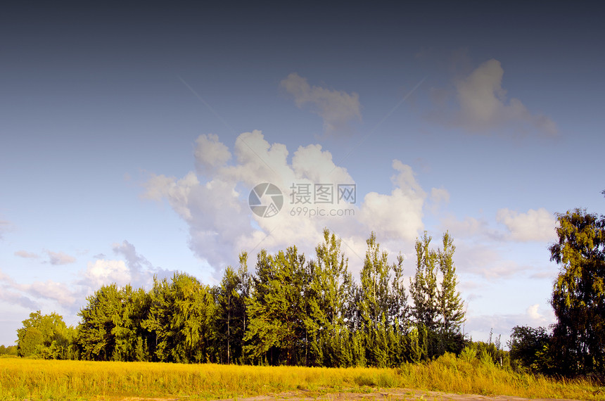 夏季夏夜风景土地农村太阳绿色乡村场地蓝色地平线草地森林图片