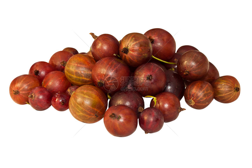 红鹅莓浆果饮食水果甜点红色宏观食物图片