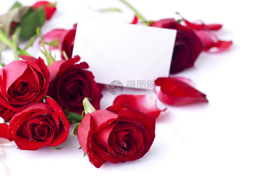 红玫瑰念日植物群婚礼笔记卡片庆典邀请函问候语玫瑰展示图片