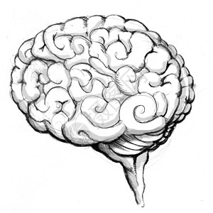 人脑绘画背景图片