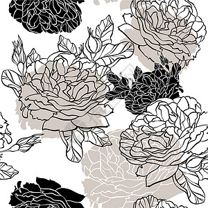 无缝花纹植物插图白色叶子卷曲绘画墙纸礼物玫瑰艺术背景图片