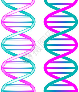 无缝DNA医学化学生活紫色保健插图生物红色技术蓝色背景图片