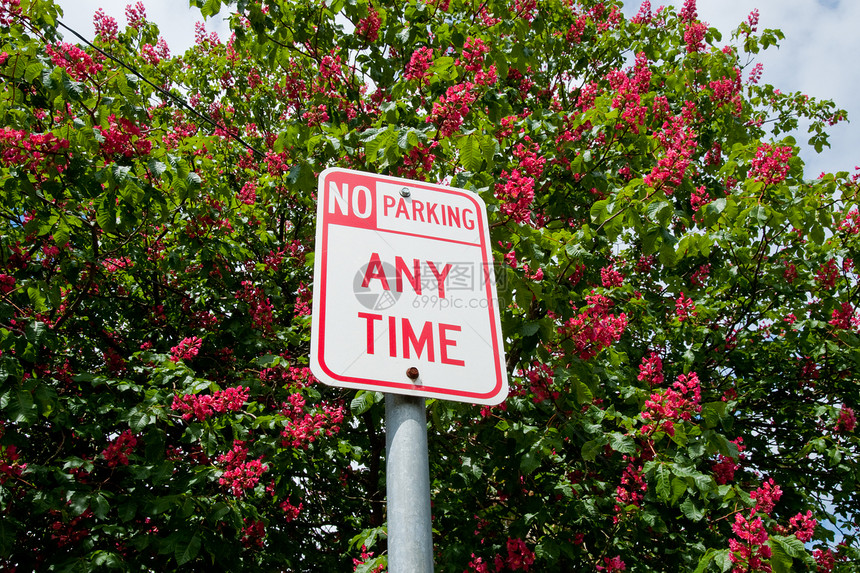 无停车标志法律红色图片