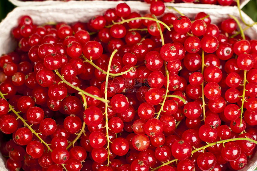 树莓草莓醋栗甜点水果浆果维生素食物饮食美丽果汁背景图片