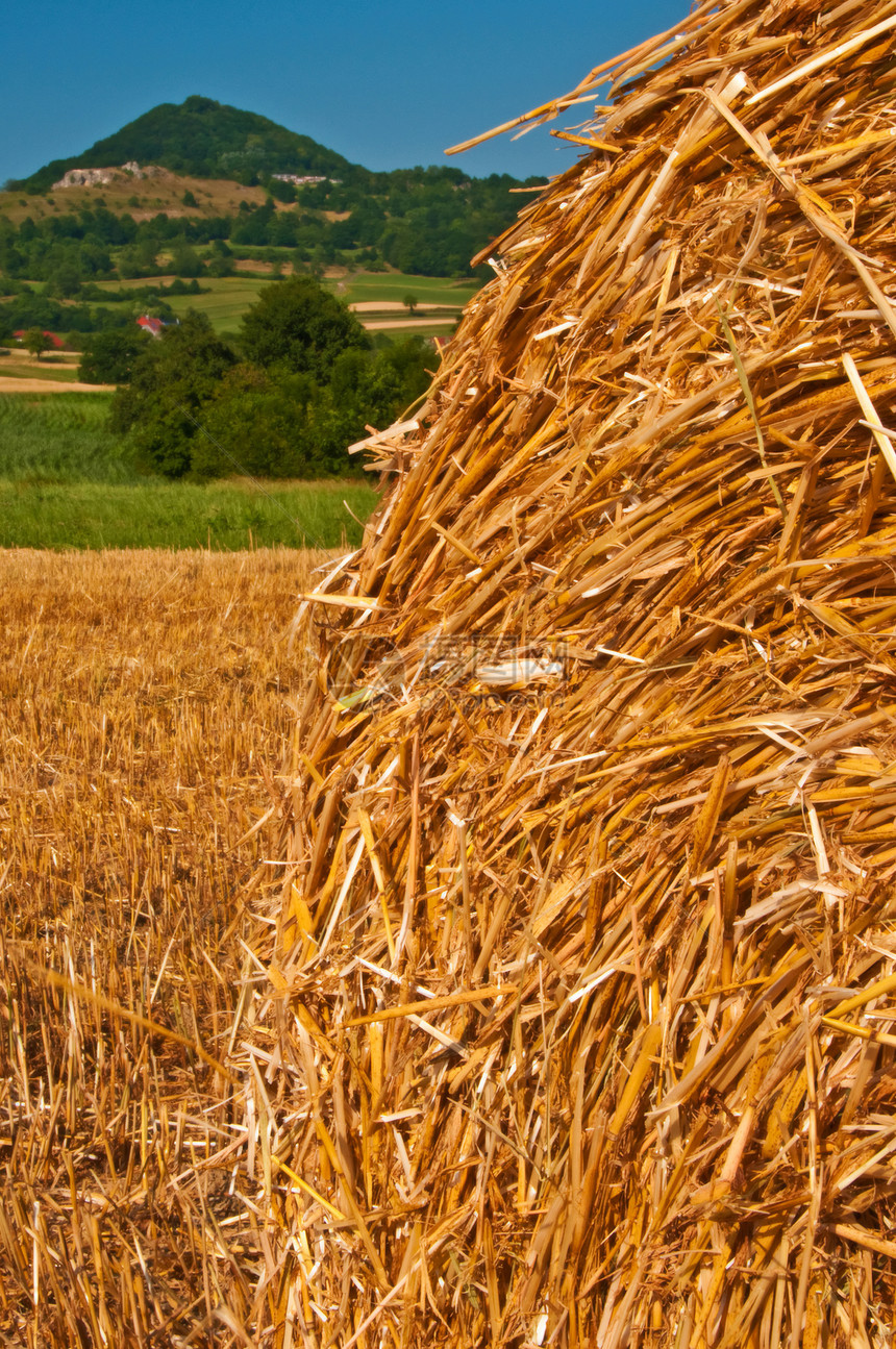 谷物收获爬坡农业全景工作国家乡村绿色场地稻草图片