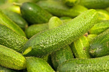 黄瓜沙拉蔬菜烹饪绿色厨房背景图片