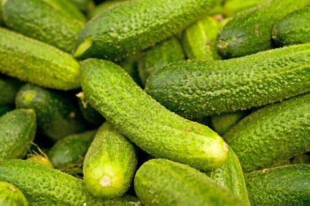 黄瓜沙拉绿色蔬菜厨房烹饪背景图片