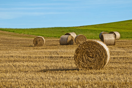 梅尔本获取再置信息经济国家农业灵芝蓝色土地全景背景
